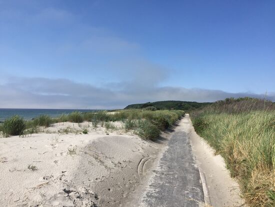 Der Weg auf dem Damm am Ostseestrand
