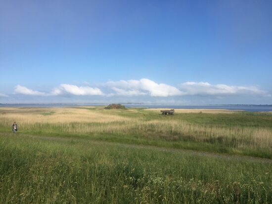 Da kam ein kalter Wind und erzeugte über dem Wasser Nebel - sieht man in der Bildmitte eher schlecht. Ausserdem ist hier der Holzstoss für das morgige Pfingstfeuer zu sehen.