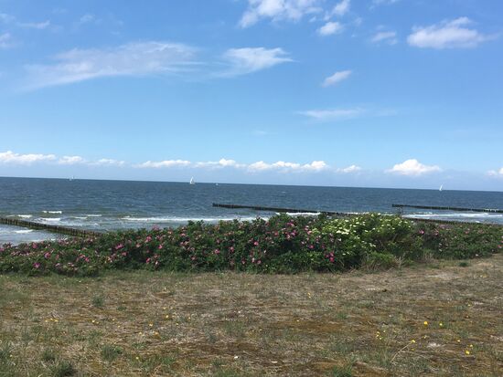 Blick aufs Meer bei Neuendorf