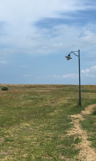 Annes tolles Bild (in Neuendorf)