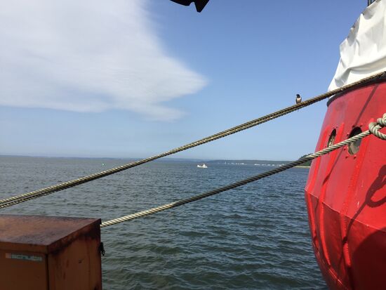 Am Räucherfischkutter