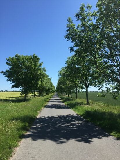 Der Radweg nach Breege (dürfen auch Autos fahren, leider)