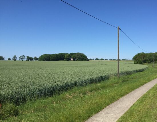 Da versteckt sich ein Haus im Wald
