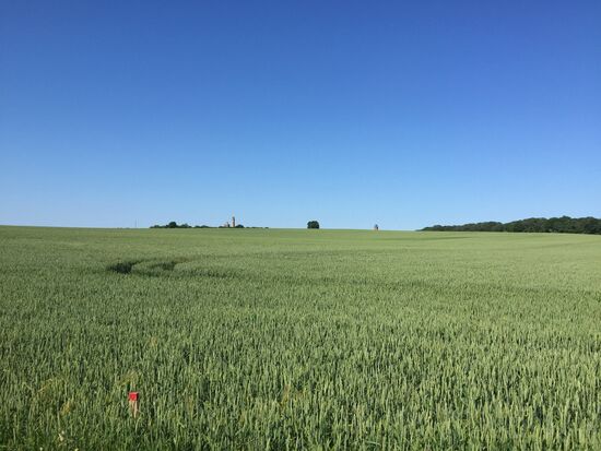 Die Leuchttürme von Cap Arkona