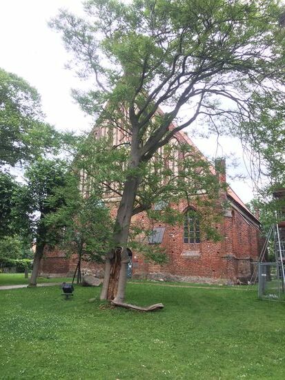 Die alte Backsteinkirche aus dem 15.Jahrhundert
