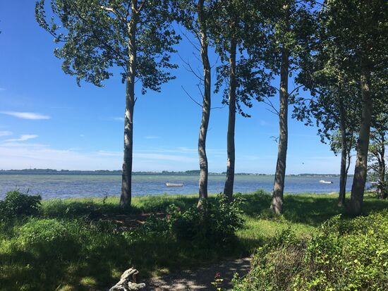 Schöner Blick auf den Bodden