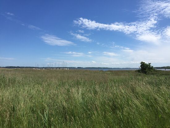 Dranske Boddenblick mit Seglersteg