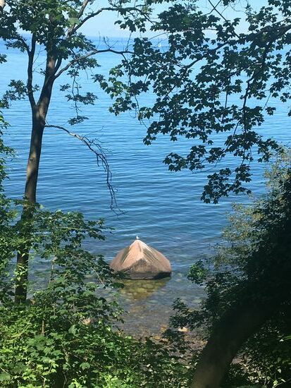 Der Schwanenstein kurz hinter Lohme mit Möwe