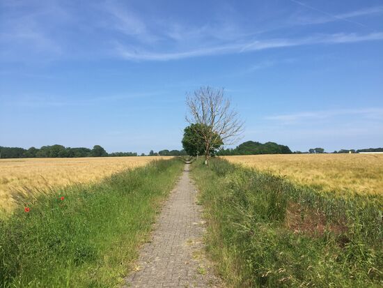Gepflasterter Hoppelradweg