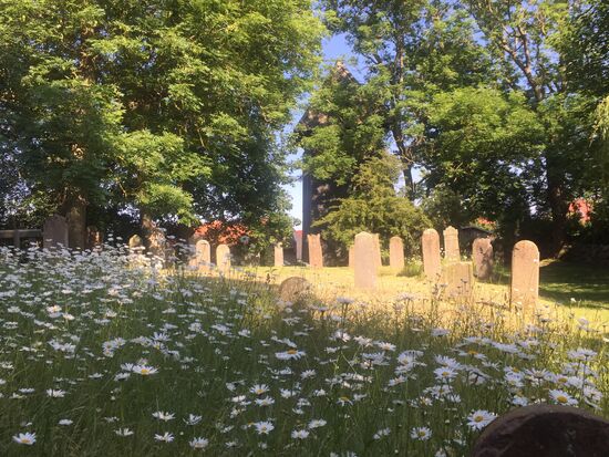 ... mit seinen uralten Grabstätten.