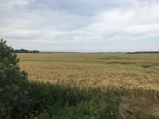 In der Ferne der Bodden