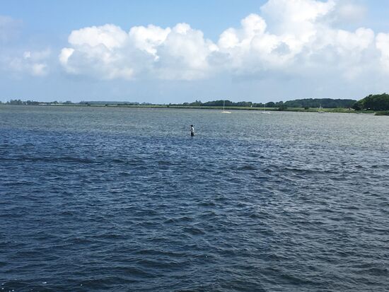 Auch hier kann man fast an der Fahrrine noch zu Fuss angeln