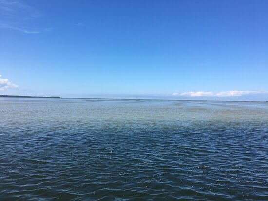 Wieder grosse Flächen fast trocken