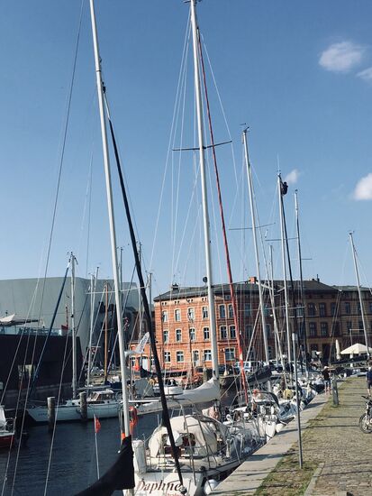 Kletterstunde im Hafen