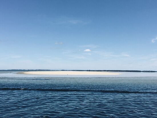 Voll trockengefallene Bereiche neben der Fahrrinne