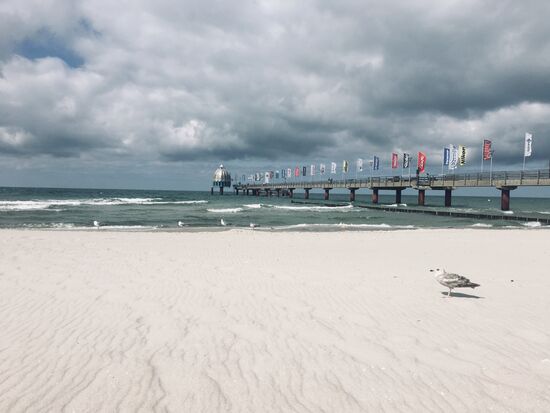 Seebrücke Zingst mit weissem Strand