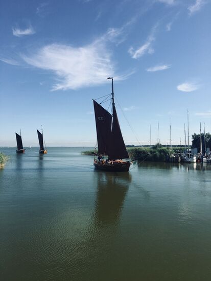 ... und kommen zurück