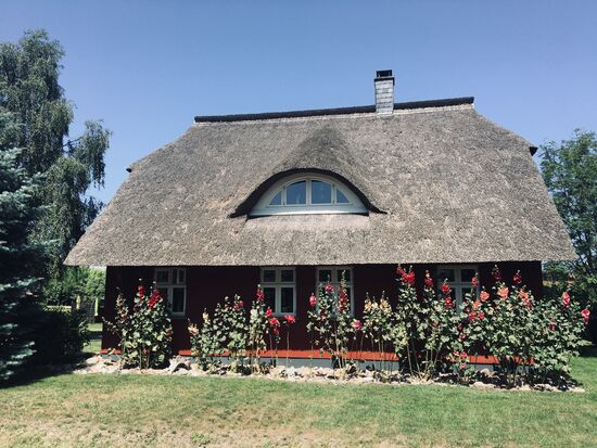 Schönes (rotes) Haus mit Malven in Dierhagen