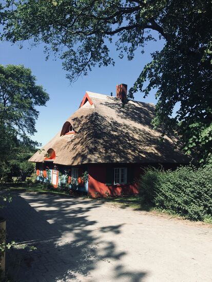 Blau/rotes Haus in Althagen