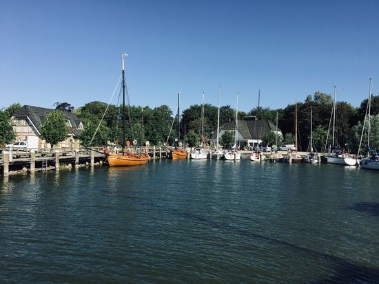 Hafen voll am Sonntag morgen ...