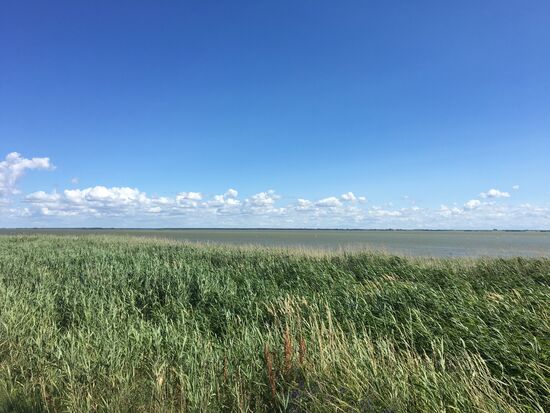 Auf dem Weg nach Born am Bodden entlang