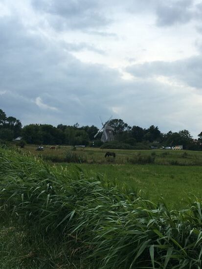 Zurück durch die Wiesen