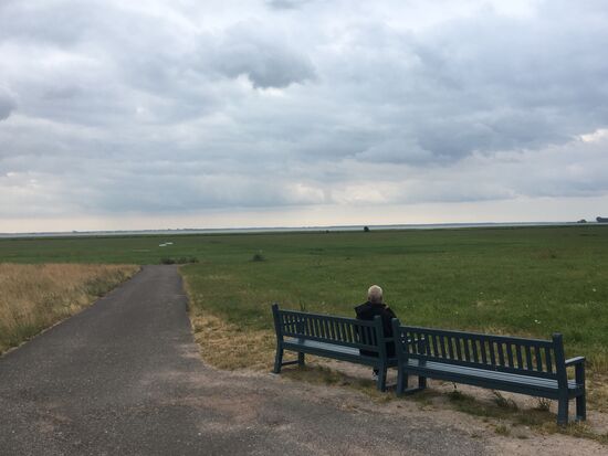Blick auf den Bodden im Abendlicht