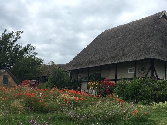 Unser Lieblingsblumenhaus