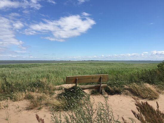 ... mit Bank im Sand