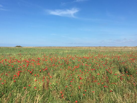 Weites weites Land...