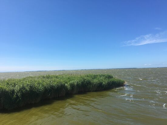 Blick über den Saaler Bodden den wir gerade überquert haben
