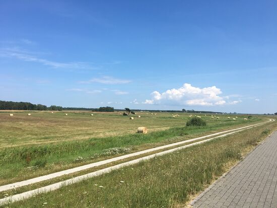 Links vom Damm das weite Land....