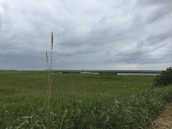 Blick über Kirr, ganz hinten der Bodden