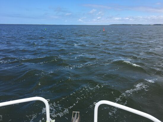 Grosser Bodden hat bei Wind 4 wieder ganz schön Wellen, aber 98% von hinten, da stört es nicht