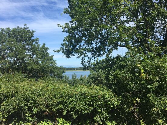 Blick auf den Bodden