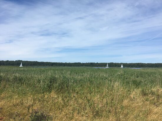 Immer und überall Wasser