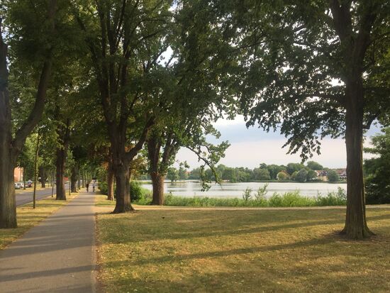 Auch aussenrum ist Wasser ...der Franken Teich und der Knieper Teich