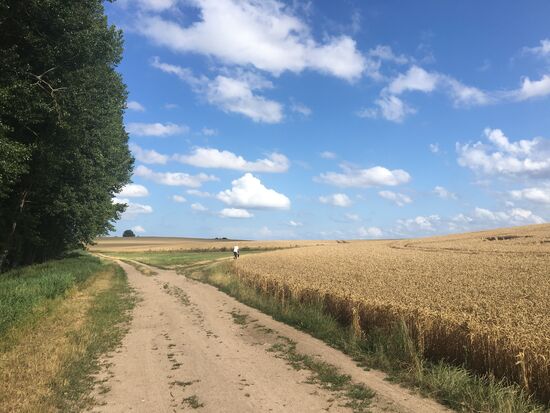 Der Weg durch die Felder