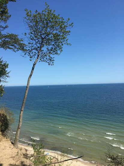 Kleiner Baum steht (noch) am Ufer