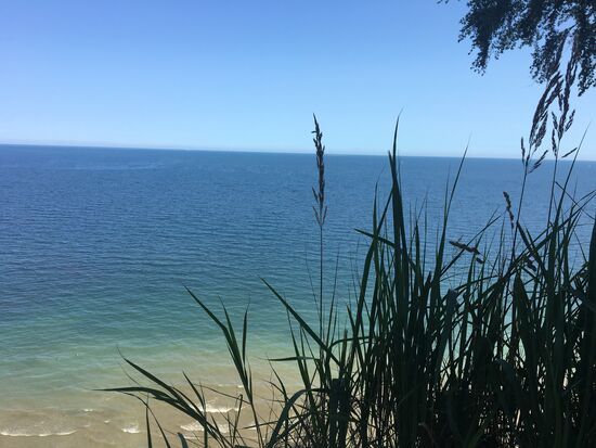 Schööön...einfach nur schön