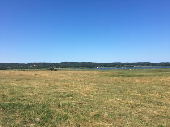 In der Ferne der Turm von Jagdschloss Granitz