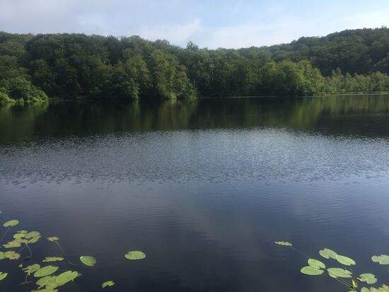 ...der eine seltene Wasserzusammensetzung hat und deswegen ist das Wasser so dunkel