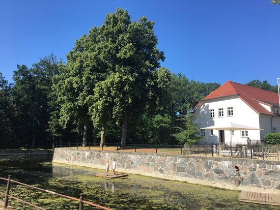 Der Wassergraben mit Floss