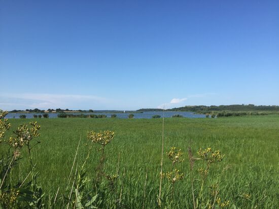 Das Achterwasser bei Balm, kurz vor Neppermin
