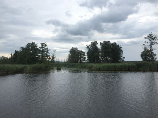 Blick nach vorn auf die Peene