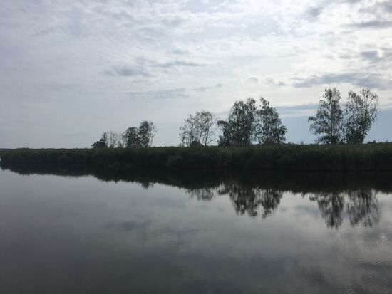 Peene „im Spiegel“