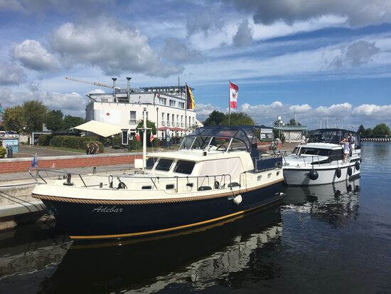 Adebar und dahinter Melody