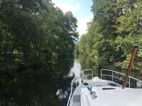 Schmaler Kanal durch den alten Wald