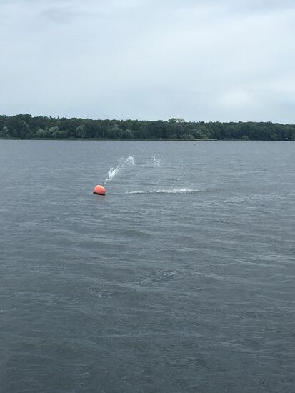 Damit wird mehr Saurstoff inden Tegeler See gebracht