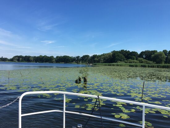 Einfahrt in den See